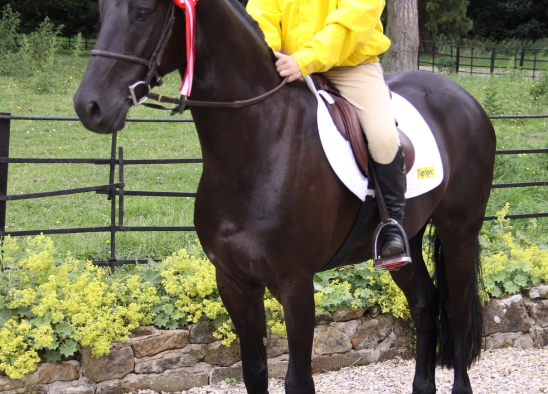 Alex Takes Ticket To HOYS