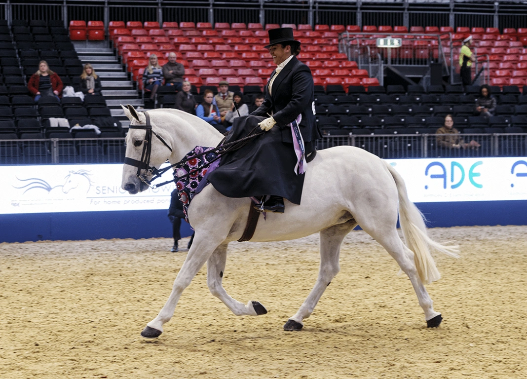 Dazzling Olympia Success