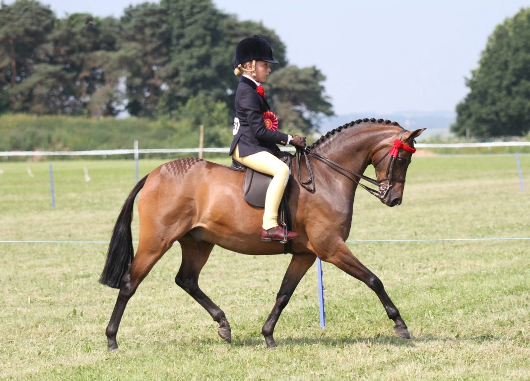 Royal Wins All Round for Team TopSpec
