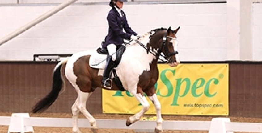 British Riding Clubs TopSpec Dressage to Music Championships 2019