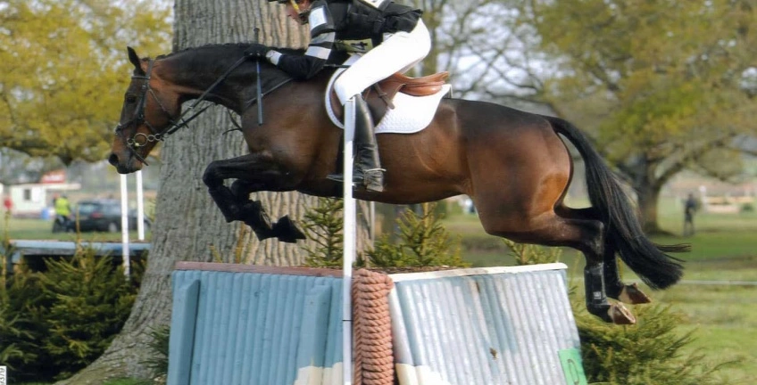 Tim Wins TopSpec Eventing Scholarship