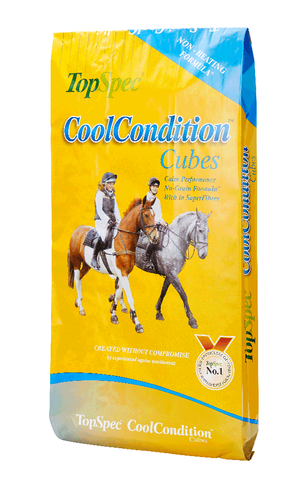 TopSpec-Cool-Condition-Cubes