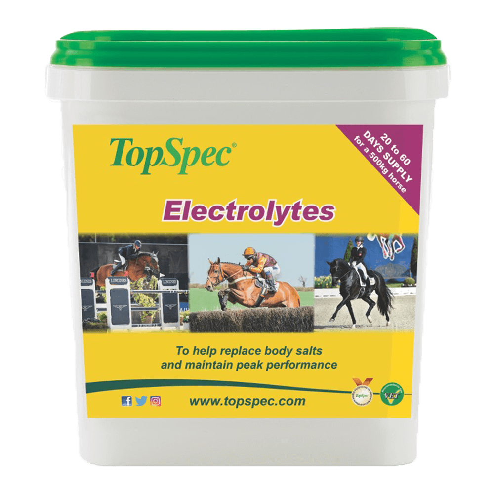 TopSpec-Electrolytes