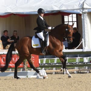 Benito Dorato wining the Novice Gold Championhip at the British Dressage National Champions ridden and owned by Victoria Maw smaller 1