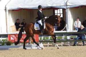 Benito Dorato wining the Novice Gold Championhip at the British Dressage National Champions ridden and owned by Victoria Maw smaller