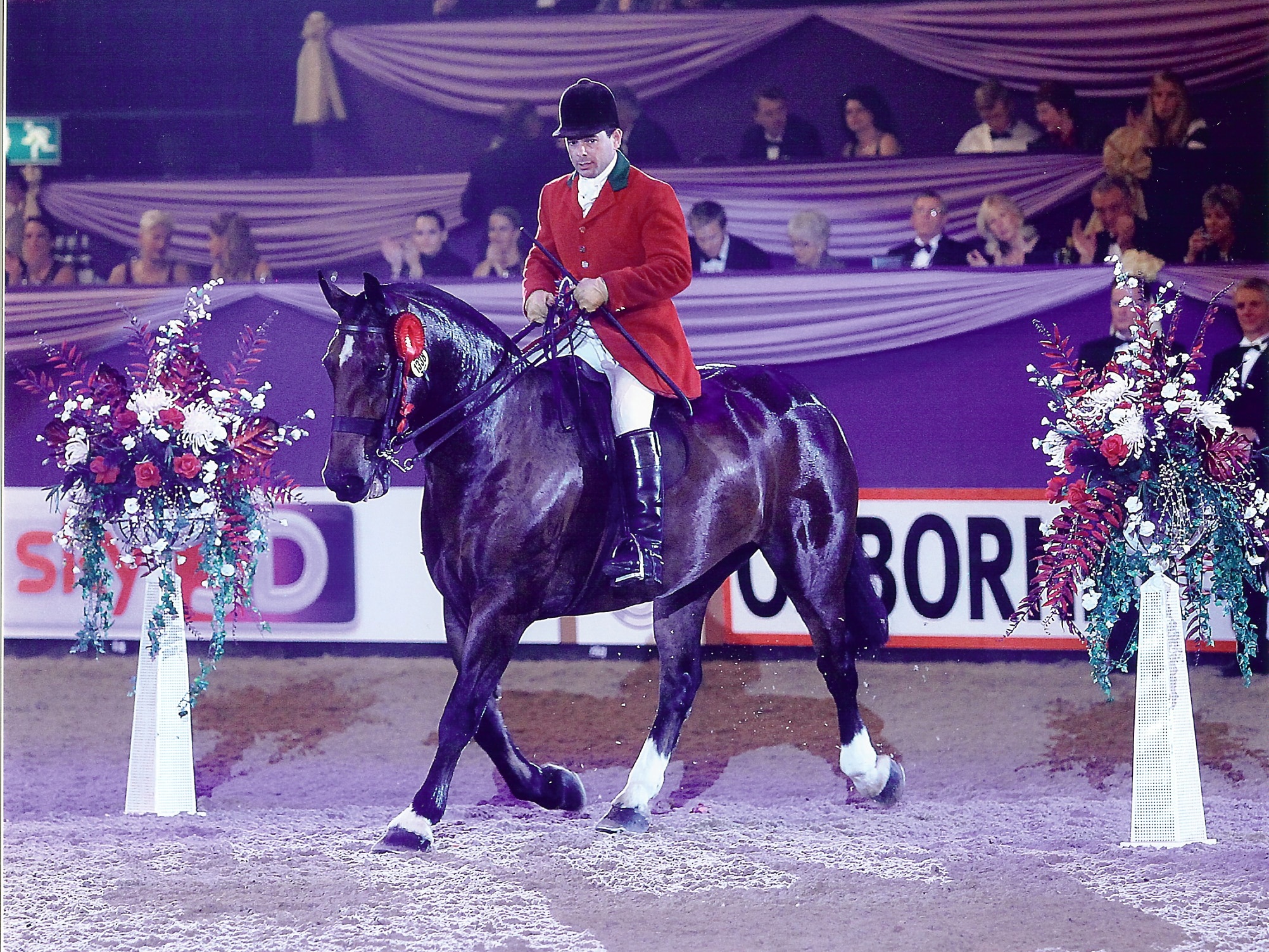 Champion Cob of the Year Starry Night ridden by Robert Walker and owned by Camilla Neame