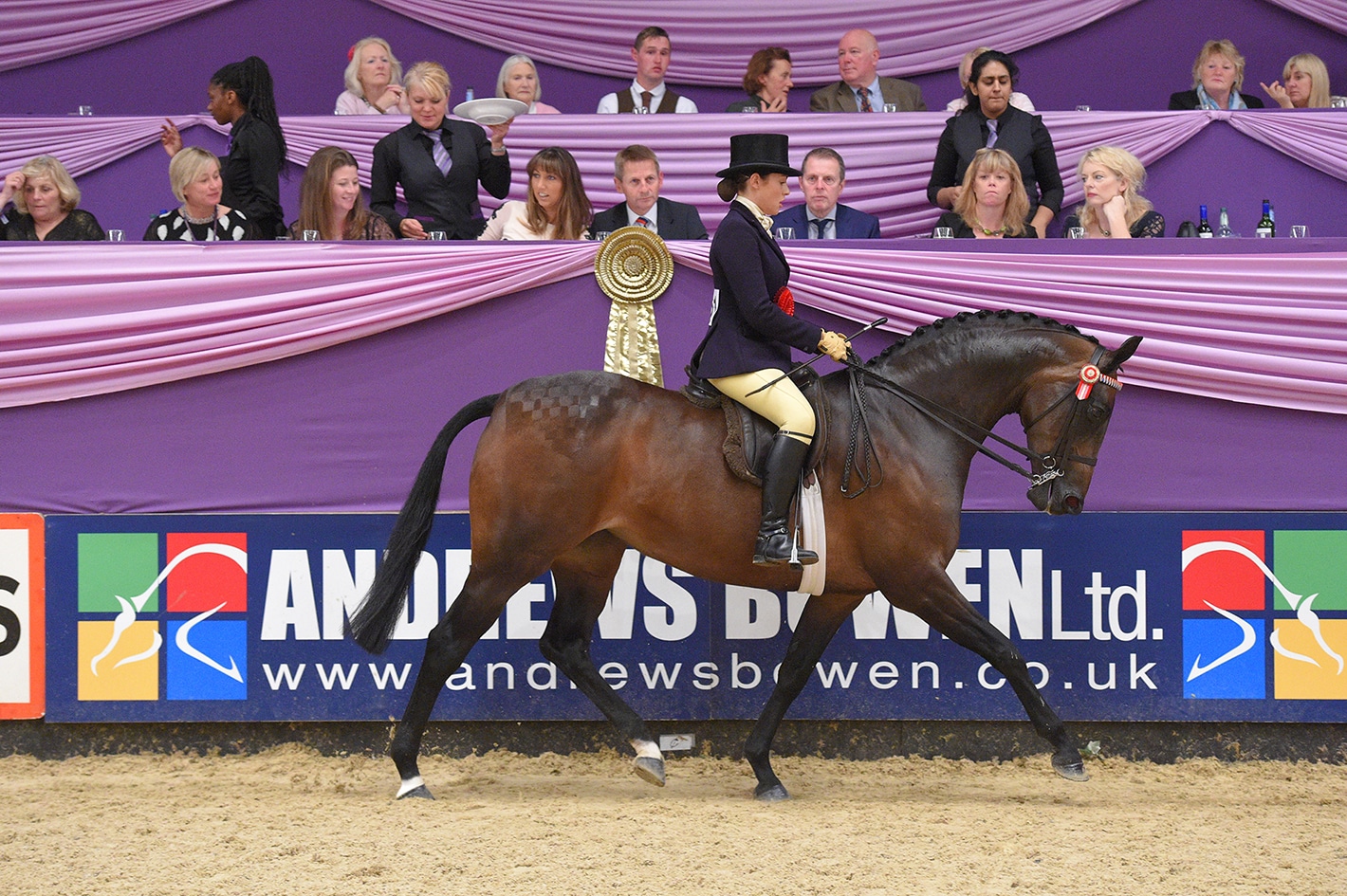 DP UK Nightdancer Small Hack of the Year ridden by Michaela Wood and owned by Martin Wood smaller