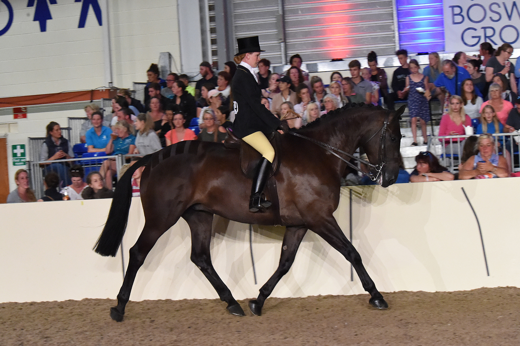 Decorum Reserve Champion 4 5 6 year old Hunter at Equifest ridden and owned by Lauren Robertson smaller