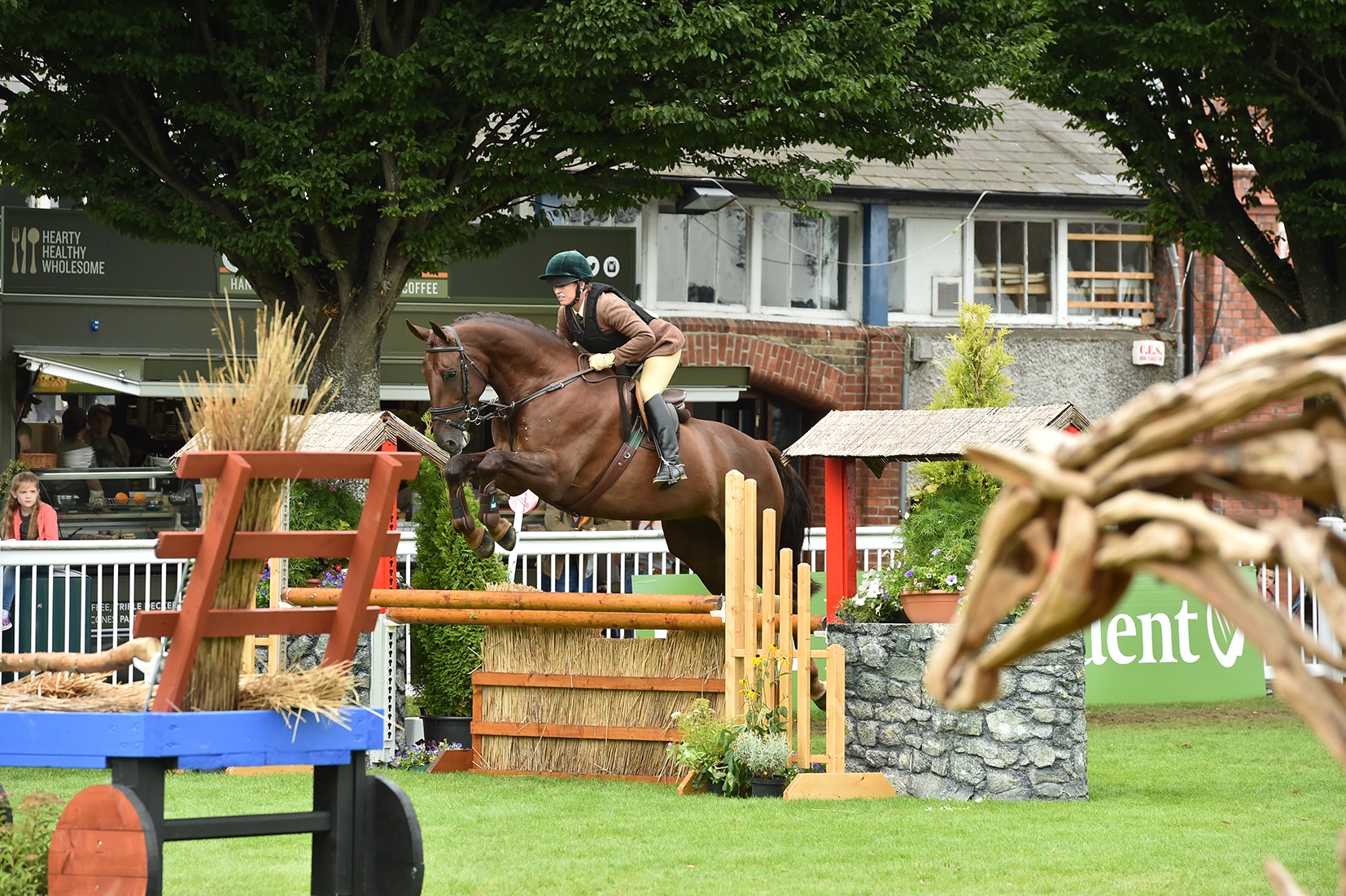 First Rate Champion Working Hunter 1st Working Hunter Horses five six years old produced and ridden by Louise Lyons and co owned with Paulette Cooper3