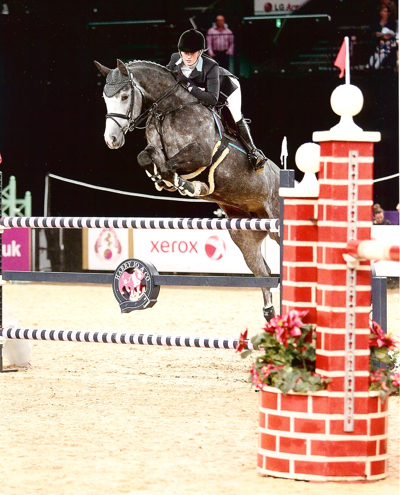 HOYS 6 year old Champion Quantas ll ridden by Louise Saywell