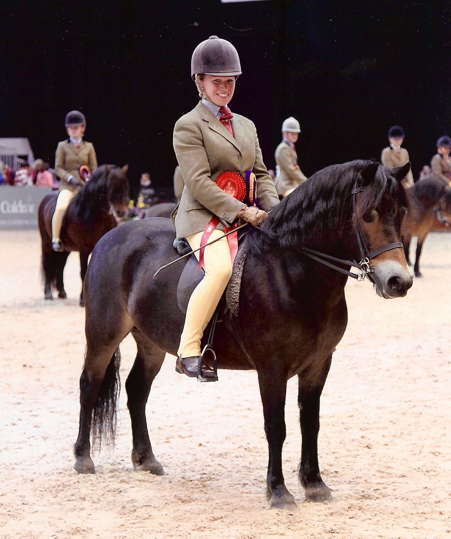 MM Ridden Pony of the Year Blackthorn Blush Rose ridden by Katy Marriot Payne and owned by Elizabeth Nicholls