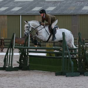 Silver Lough Working Hunter Champion at BSPS Area 3B Winter Show ridden and owned by William Pittendrigh smaller