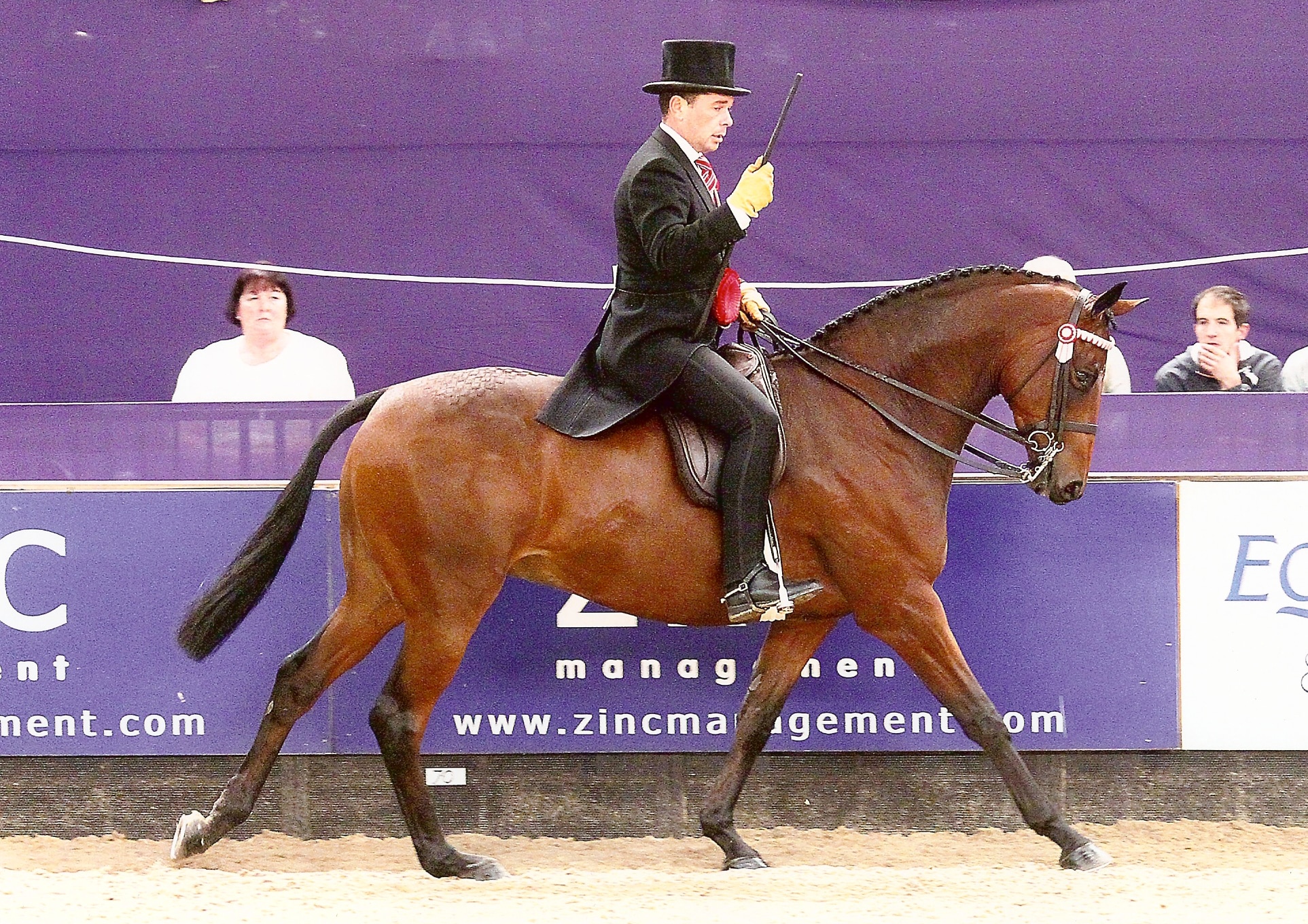 Small Hack of the Year Royal Engagement ridden by Robert Walker and owned by Mrs Lucy Smith Crallan