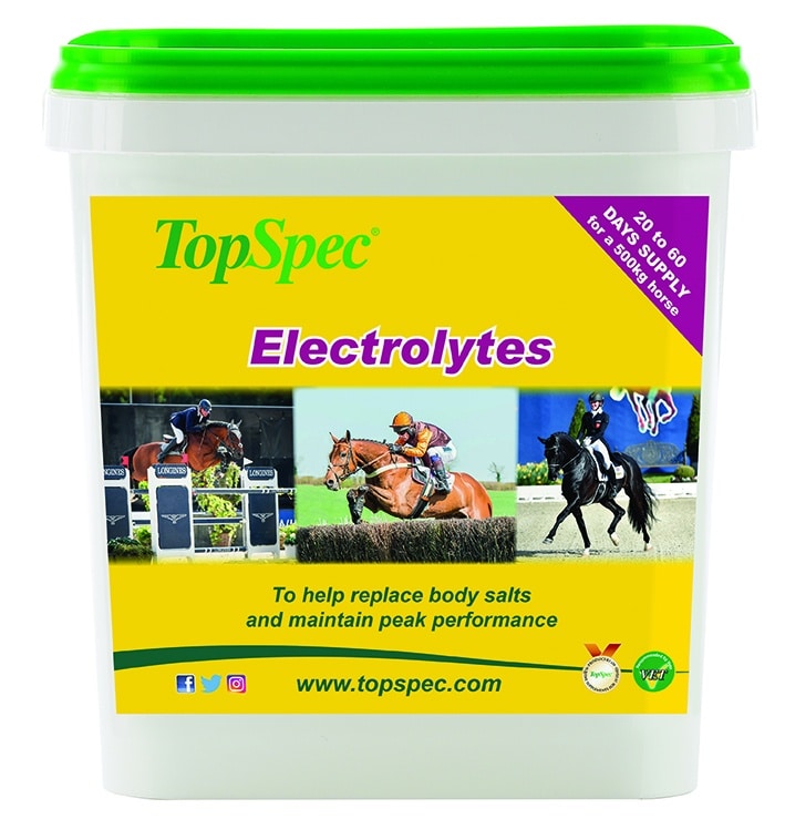 TopSpec tubs 2017 electrolyte dec smaller