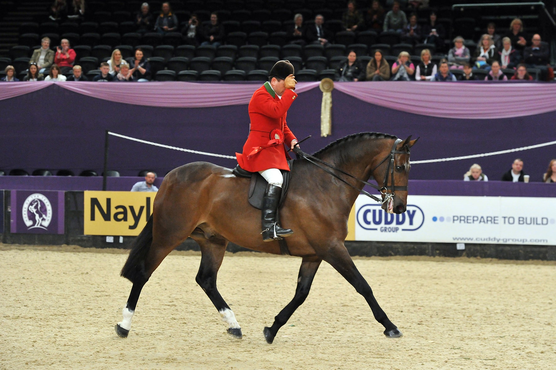Vantage Point Champion Hunter of the Year ridden by Robert Walker and owned by Jill Day