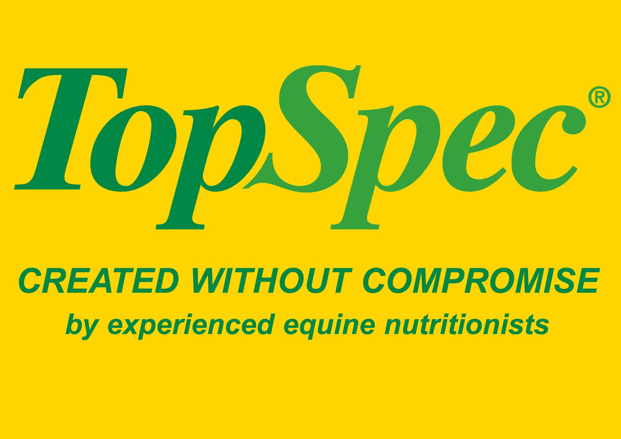 topspec logo strapline also